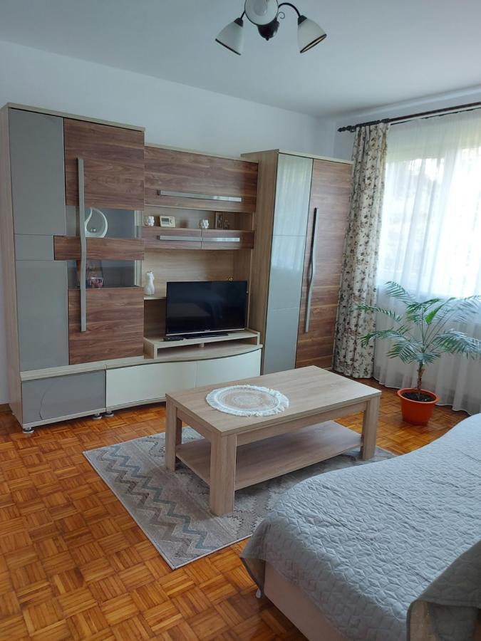 Studio Bulevardul Victoriei Μπρασόβ Εξωτερικό φωτογραφία